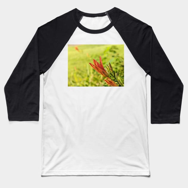 Day Lily Opening 2 Baseball T-Shirt by AustaArt